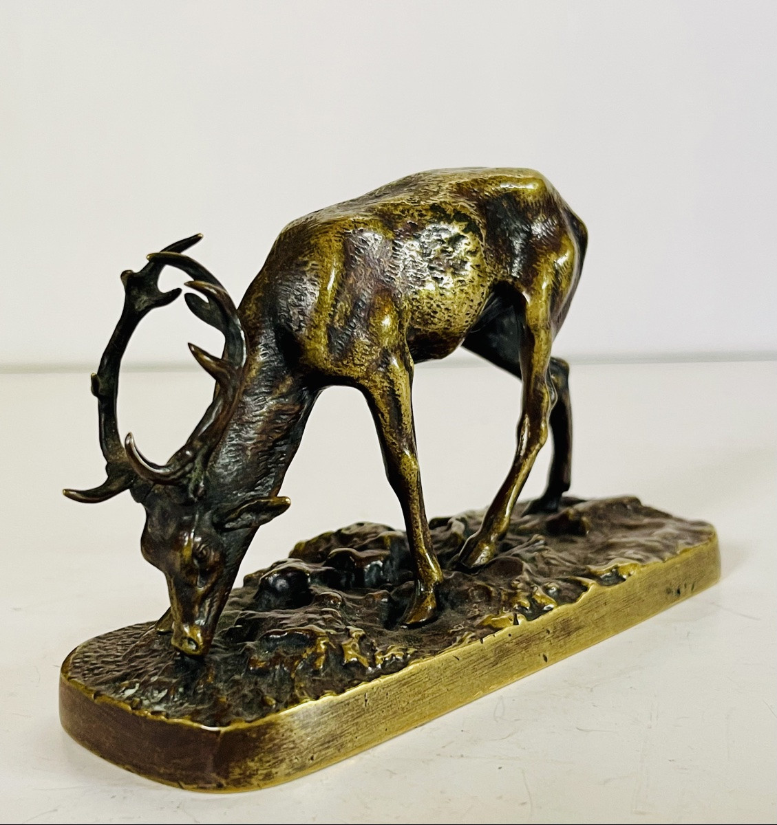 Bronze Stag-photo-3